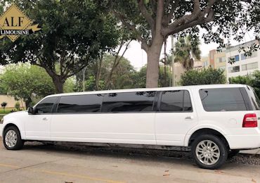 Limousine Expedition - Capacidad para 16 personas